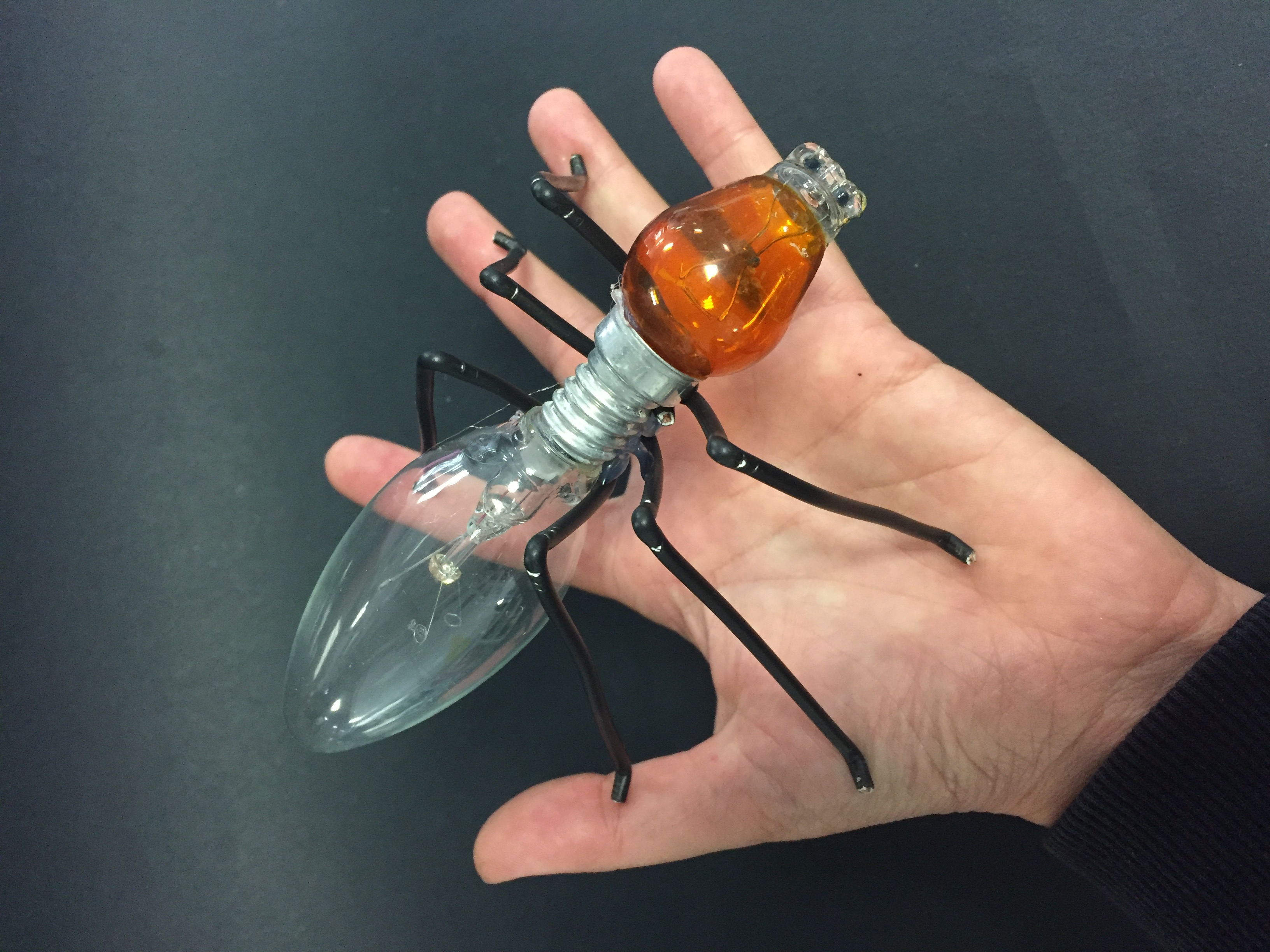 Comment Faire Un Insecte En Art Plastique Stanislas Cannes - Productions d'élèves en Arts Plastiques