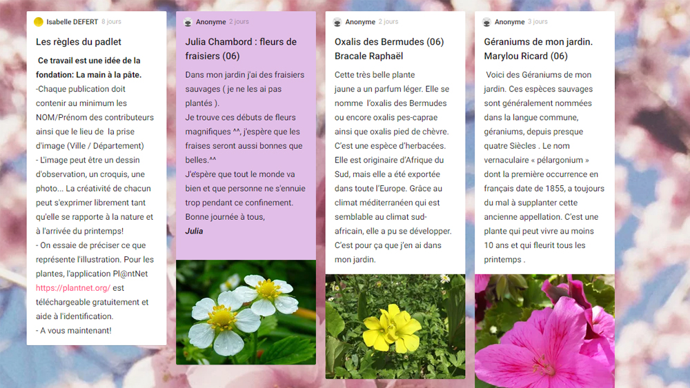 Un padlet collaboratif printanier