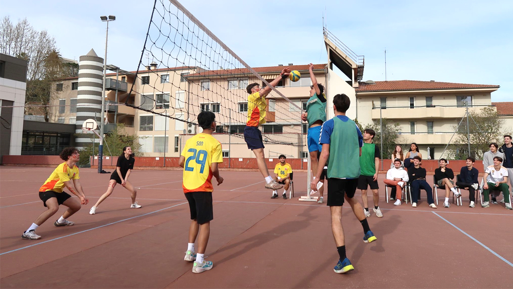 Olympiades sportives des 1A : victoire des ECG 1 !